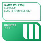 James Poulton - Anodyse